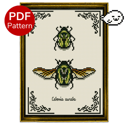 Scarab Beetle Framed - Cetonia Aurata - Green Rose Chafer - Cross Stitch Pattern